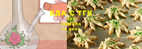 СК Алексин