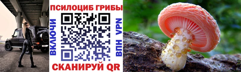 Псилоцибиновые грибы Psilocybe  даркнет сайт  Козловка 