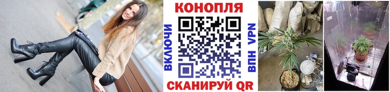закладка  Козловка  Конопля Ganja 